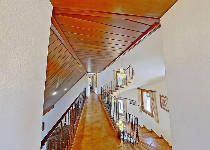 Premium Habitat Ferrer