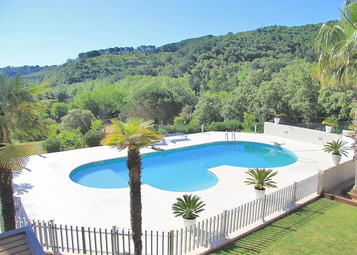 Premium Habitat Ferrer *