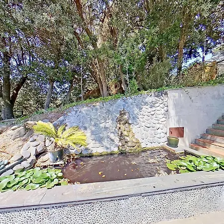 Premium Habitat Ferrer *